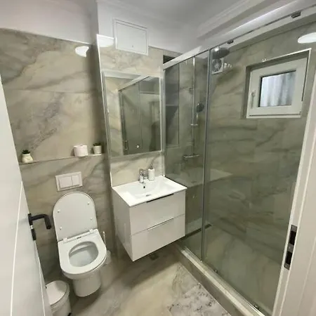 Daria טימישוארה